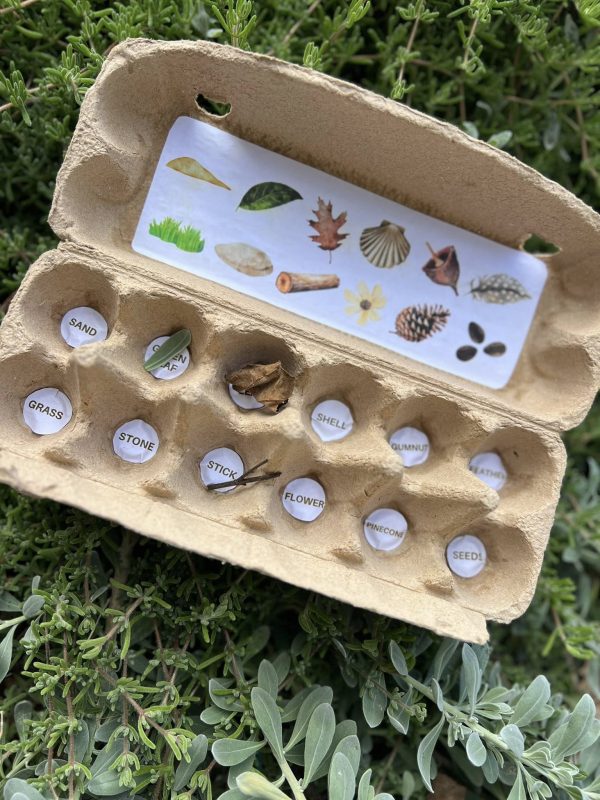 Nature Treasure Hunt Box: Upcycled Egg Carton Adventure - Image 3